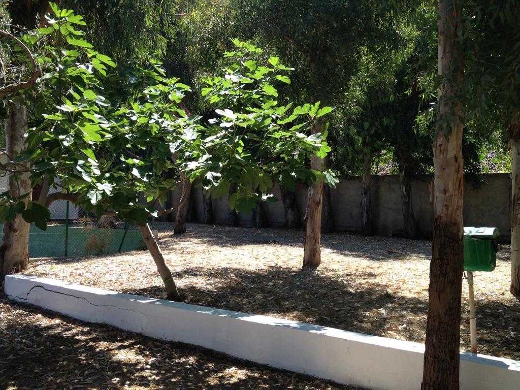 Camping B&B Gioiosa Gioiosa Marea Buitenkant foto