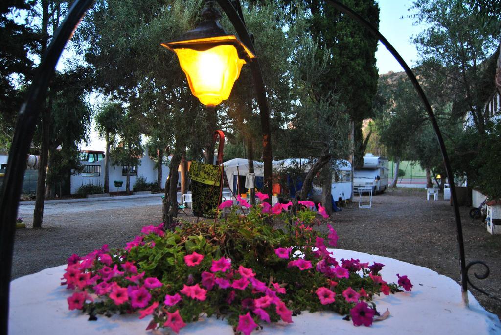 Camping B&B Gioiosa Gioiosa Marea Buitenkant foto