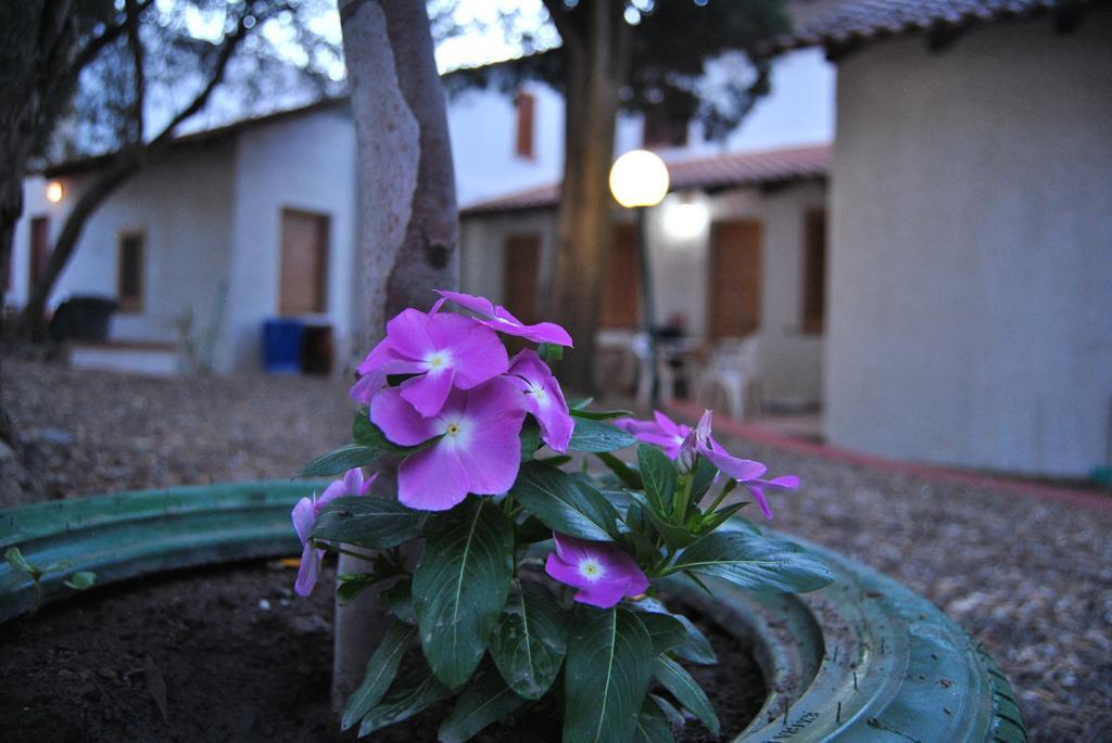 Camping B&B Gioiosa Gioiosa Marea Buitenkant foto