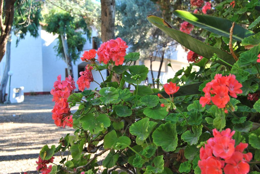 Camping B&B Gioiosa Gioiosa Marea Buitenkant foto