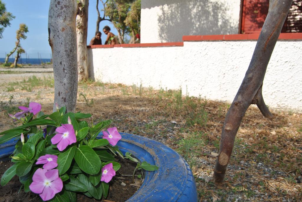 Camping B&B Gioiosa Gioiosa Marea Buitenkant foto