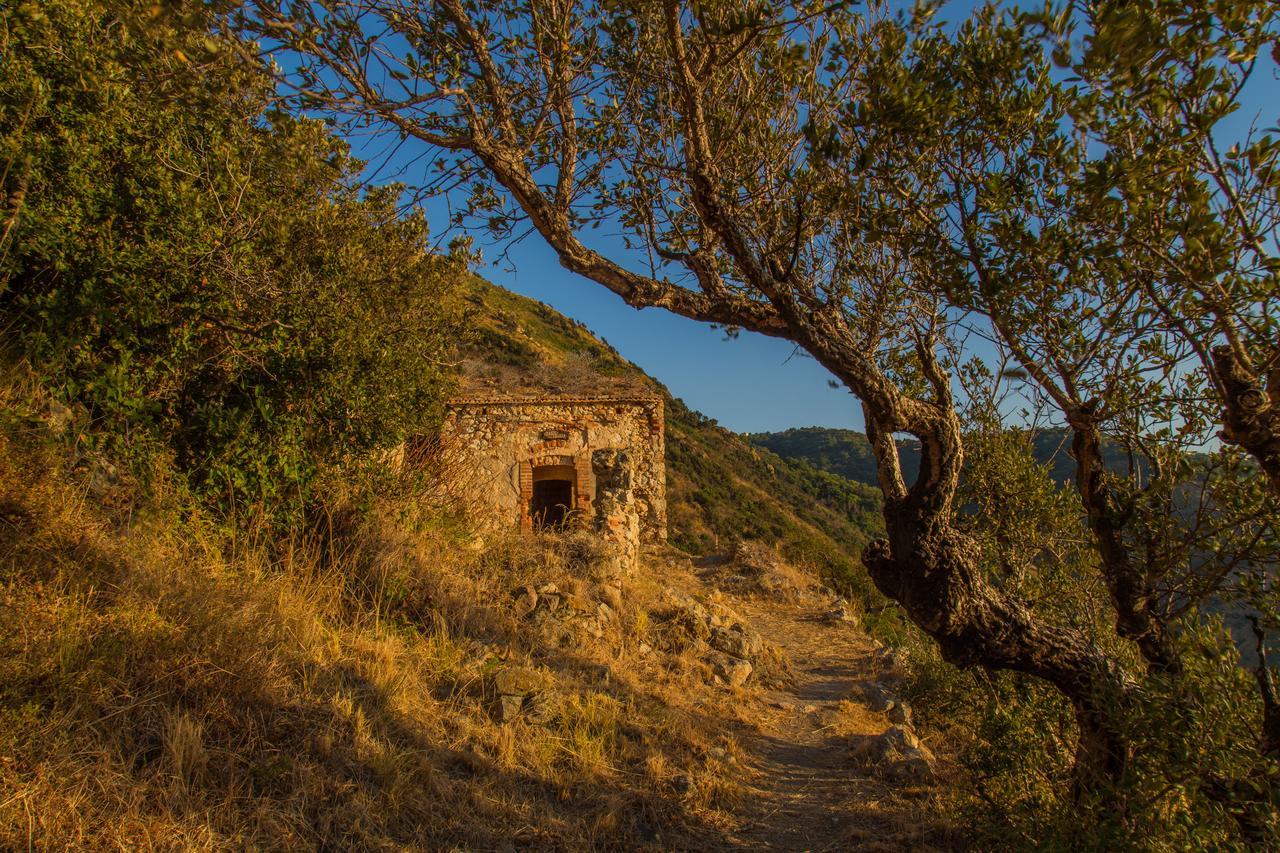 Camping B&B Gioiosa Gioiosa Marea Buitenkant foto